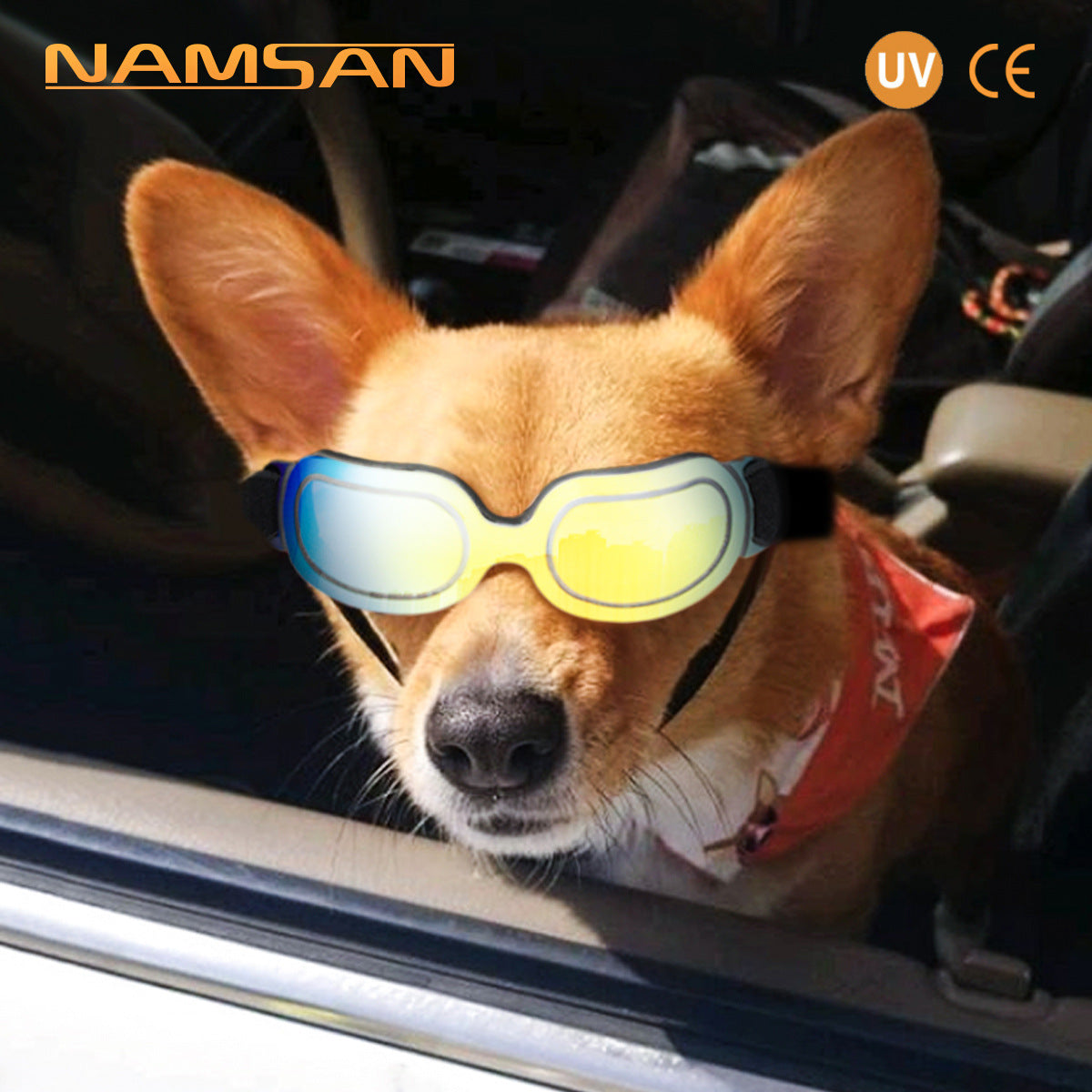 Colorful Dog Sunglasses & Cat Sunglasses for Pets