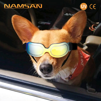 Colorful Dog Sunglasses & Cat Sunglasses for Pets