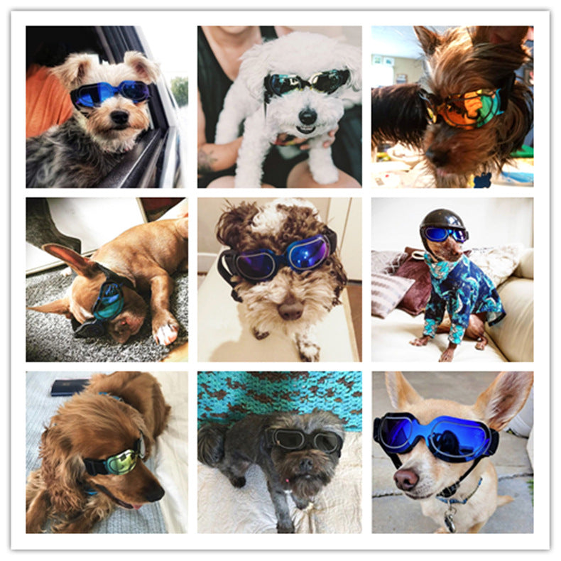 Colorful Dog Sunglasses & Cat Sunglasses for Pets