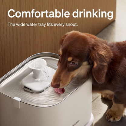 Hundebrunnen Edelstahl Smart App 3L Automatische Trinkbrunnen für Haustiere