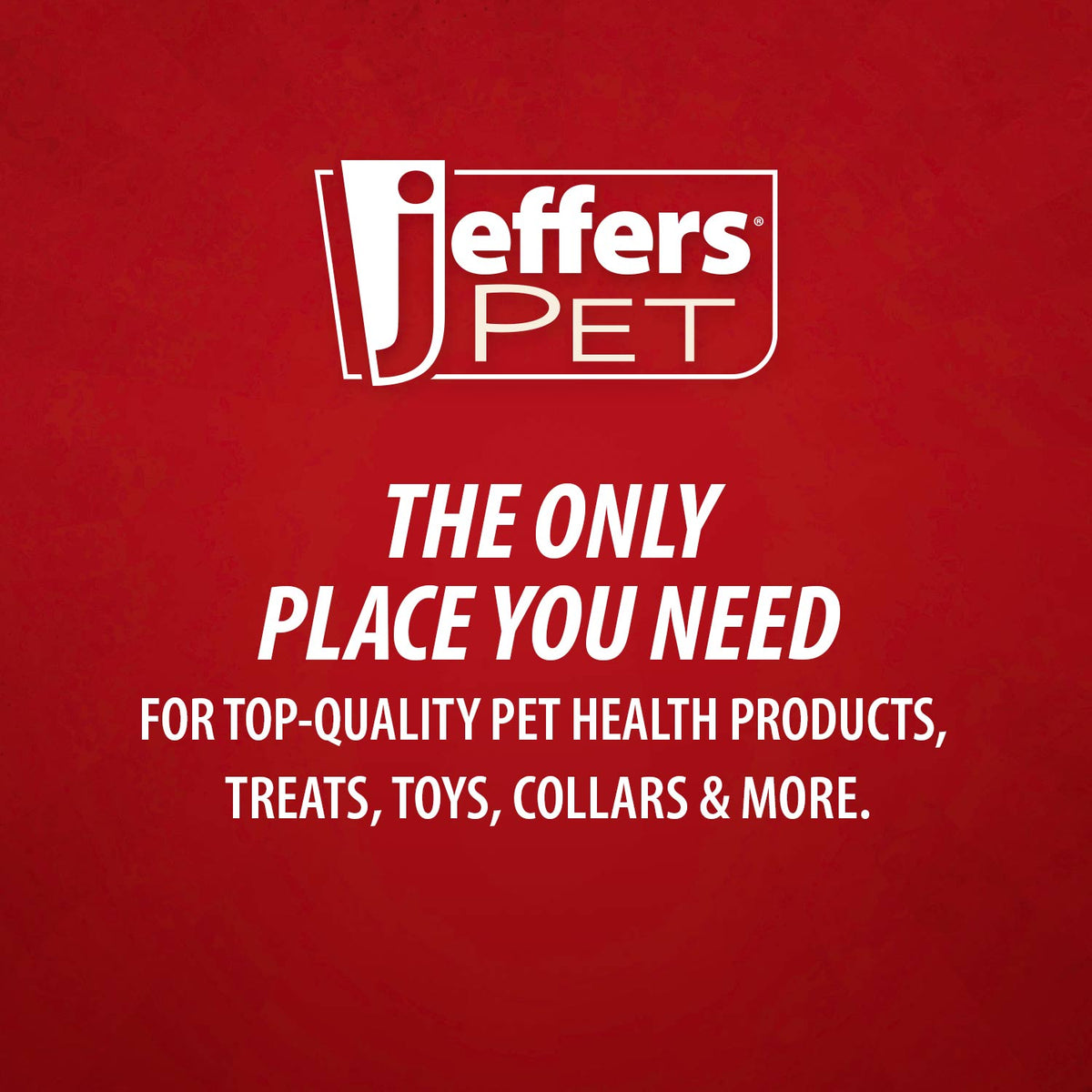 Jeffers Pet Çay Ağacı (Melaleuca) Kuru Ciltler İçin İlaçlı Köpek Şampuanı