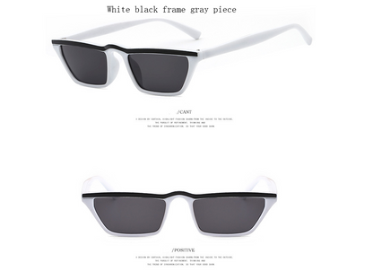 Eyebrow Sunglasses, Sunglasses, Small Frame Shades