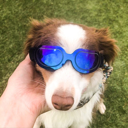 Colorful Dog Sunglasses & Cat Sunglasses for Pets