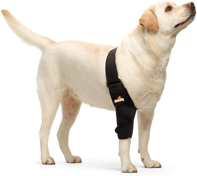 Köpekler ve Kediler için NeoAlly Dirsek ve Omuz Desteği - Evcil Hayvan Hareketliliği için En Uygun Destek
