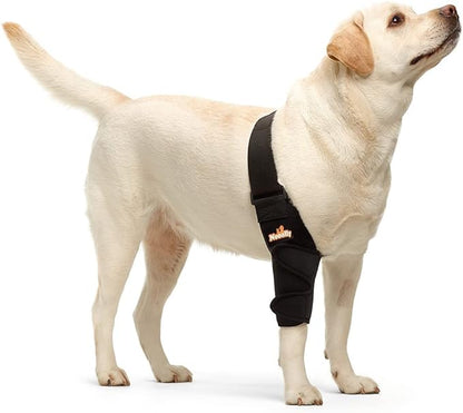 Köpekler ve Kediler için NeoAlly Dirsek ve Omuz Desteği - Evcil Hayvan Hareketliliği için En Uygun Destek