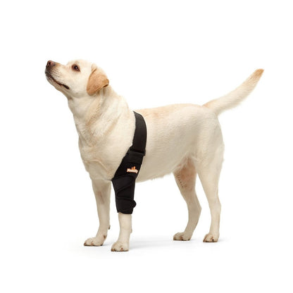 Köpekler ve Kediler için NeoAlly Dirsek ve Omuz Desteği - Evcil Hayvan Hareketliliği için En Uygun Destek
