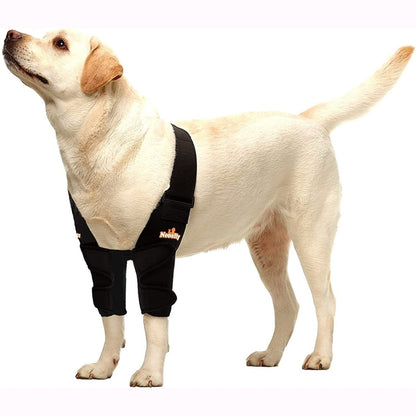 Köpekler ve Kediler için NeoAlly Dirsek ve Omuz Desteği - Evcil Hayvan Hareketliliği için En Uygun Destek